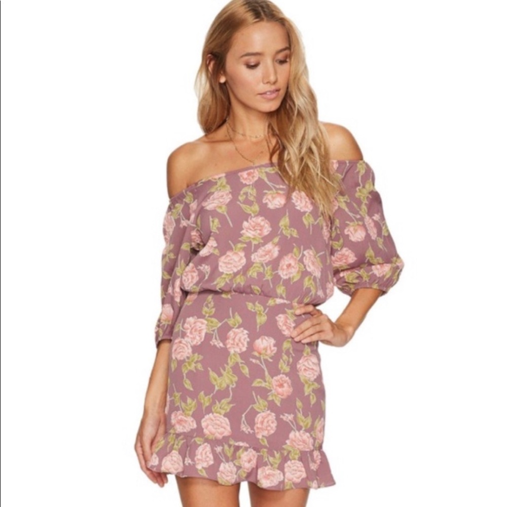 NWT: Flynn Skye Kristina Off the Shoulder Dress